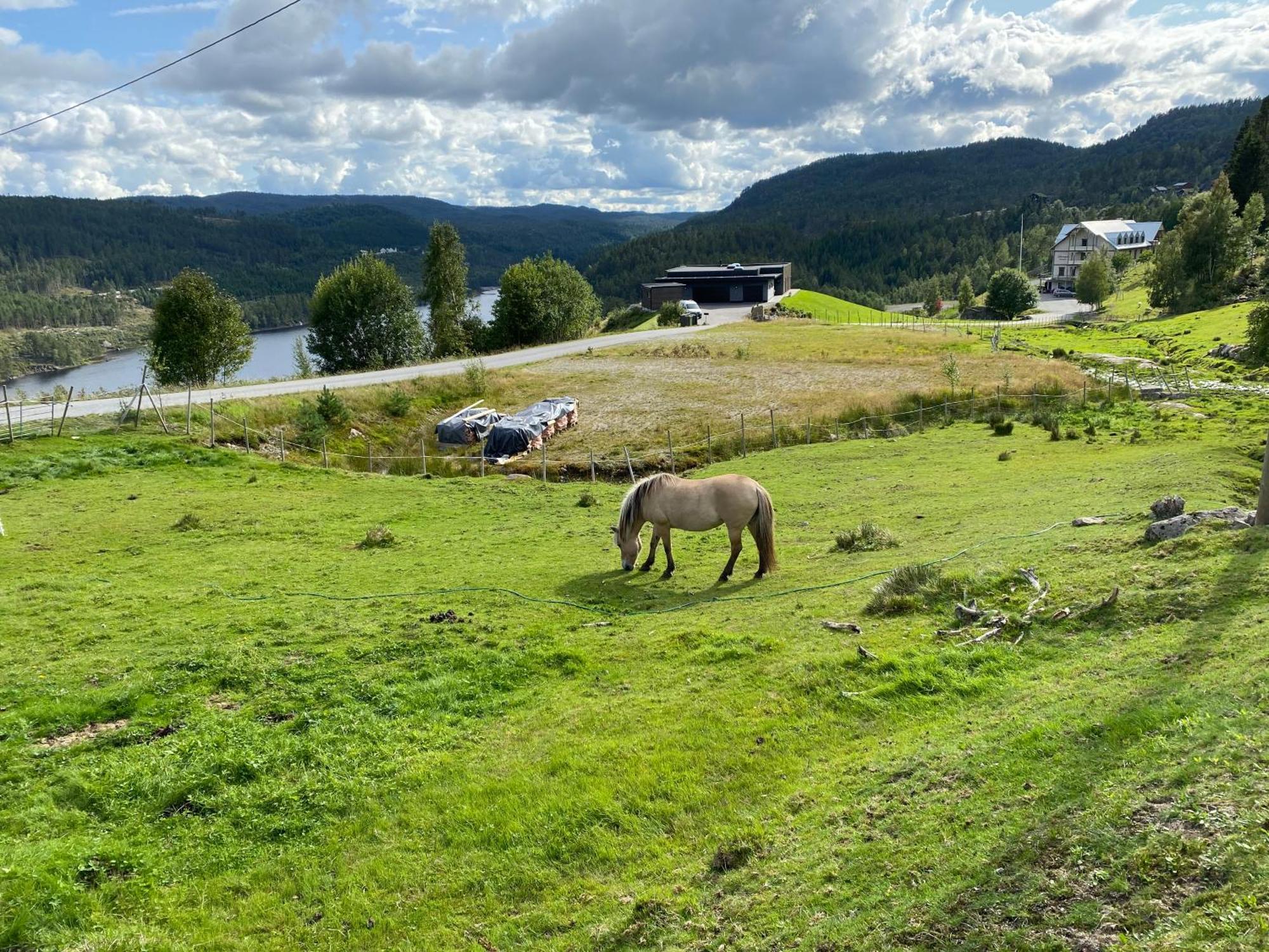 ØyuvstadHygge Pa Fjellet别墅 外观 照片